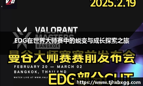 南宫NG·28