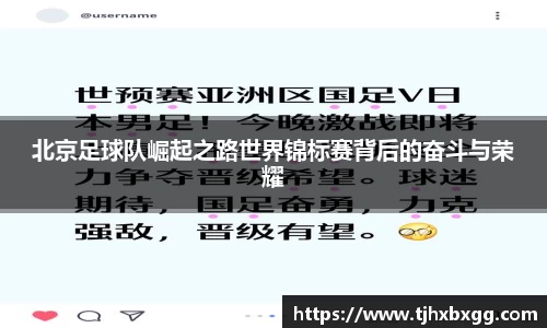 南宫NG·28相信品牌力量